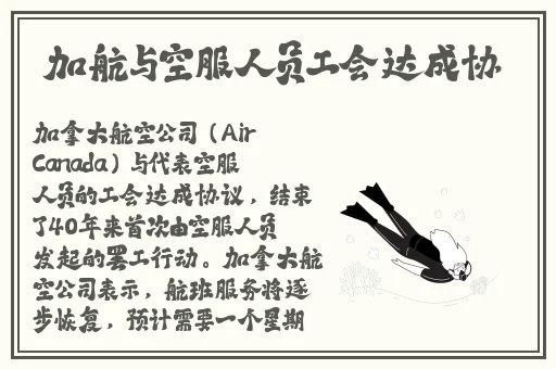我一边做饭一边被躁了动漫